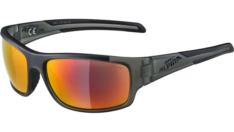 Alpina Testido Fahrradbrille