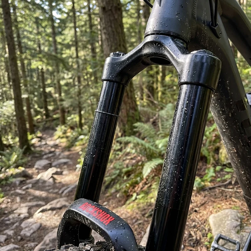 RockShox Gabel-Standrohr+BrückeCSU RS Domain2022+ DA27/29Boost,44Offs,DiBl,63OD, B1+
