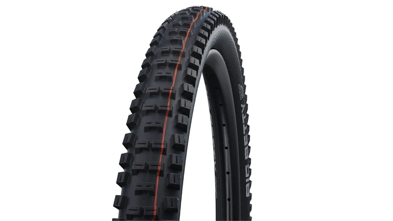 Schwalbe Big Betty Evo ST 26