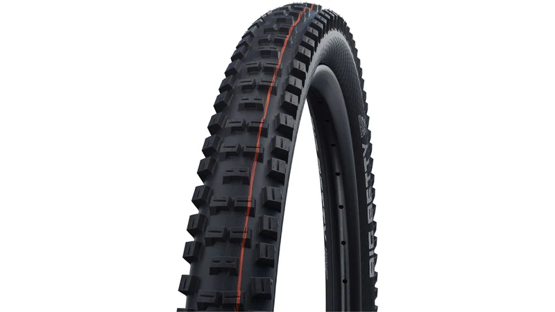 Schwalbe Big Betty Evo SG 29