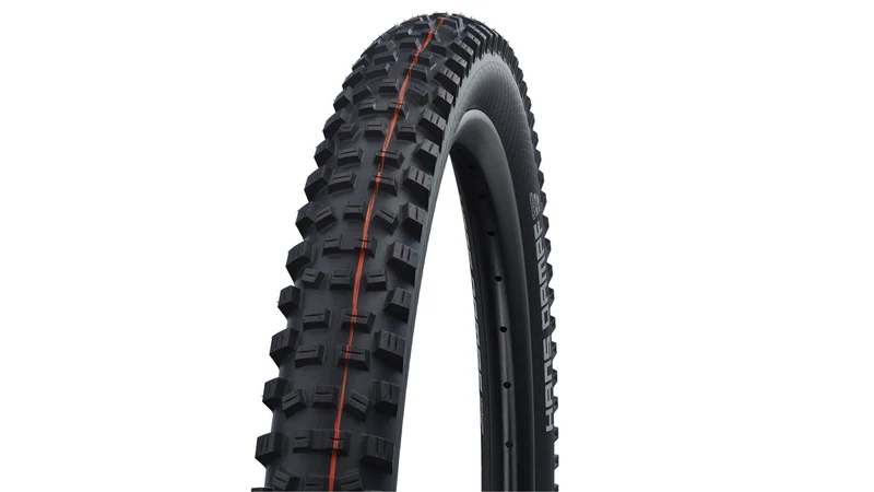 Schwalbe Hans Dampf Evo ST 29