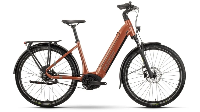 Raymon Metmo 27.5