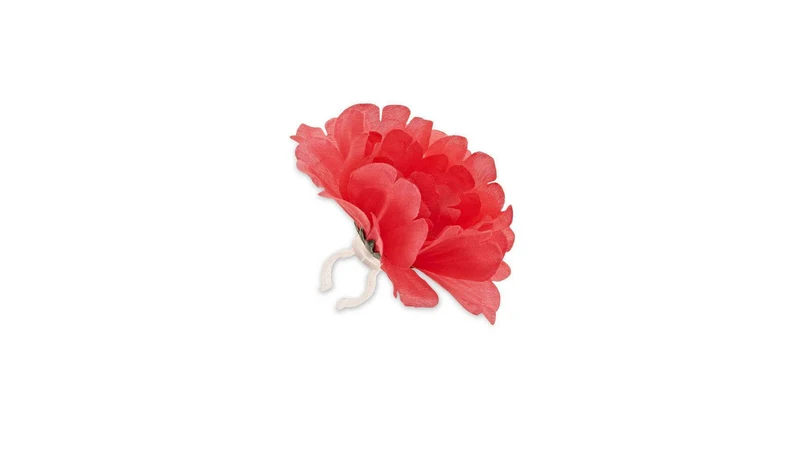 Basil Lenkerblume Flower Peony