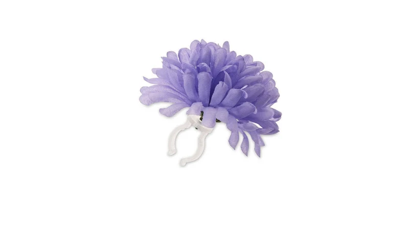 Basil Lenkerblume Flower Dahlia