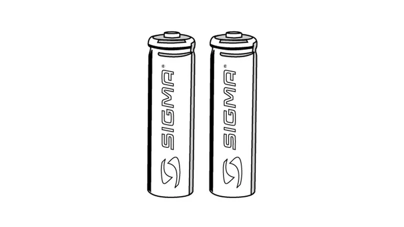 Sigma Batterie-Set 2XTYP AAA