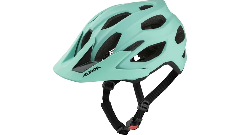 Alpina Carapax 2.0