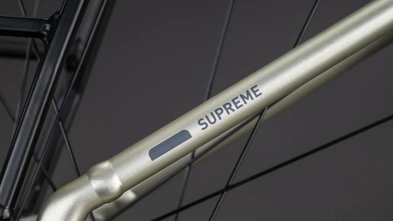 Cube Supreme RT Hybrid Comfort EXC 600 champagne´n´grey Tiefeinsteiger 2026