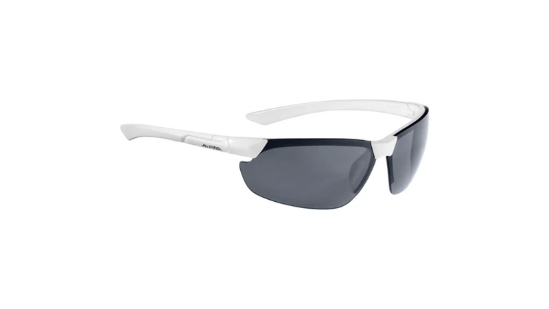 Alpina Draff Fahrradbrille