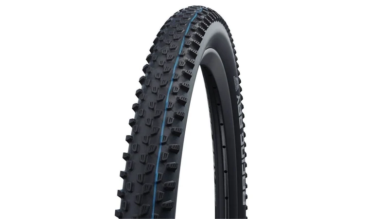 Schwalbe Racing Ray Evo SGR 29