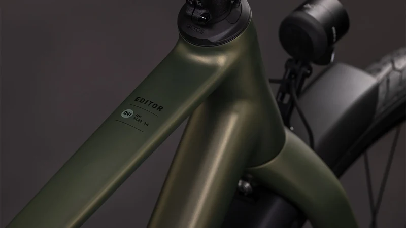 Cube Editor ONE FE reedgreen´n´black 2026