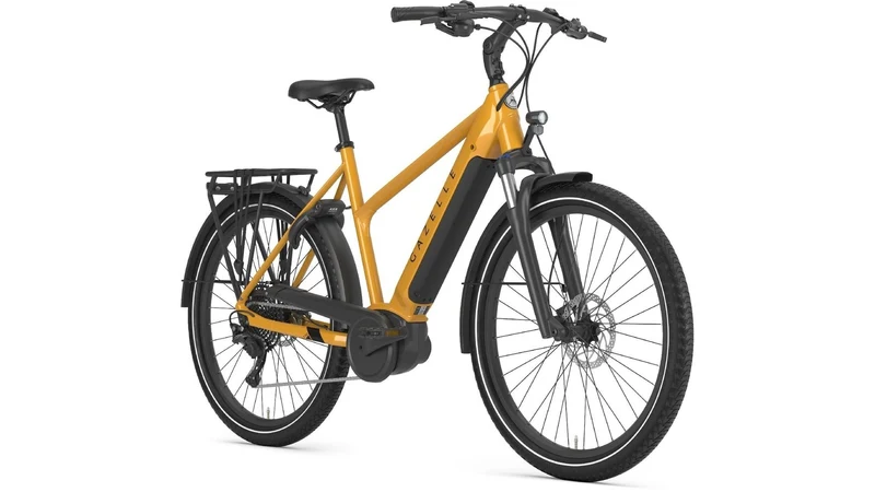 Gazelle Medeo T10 HMB Smart