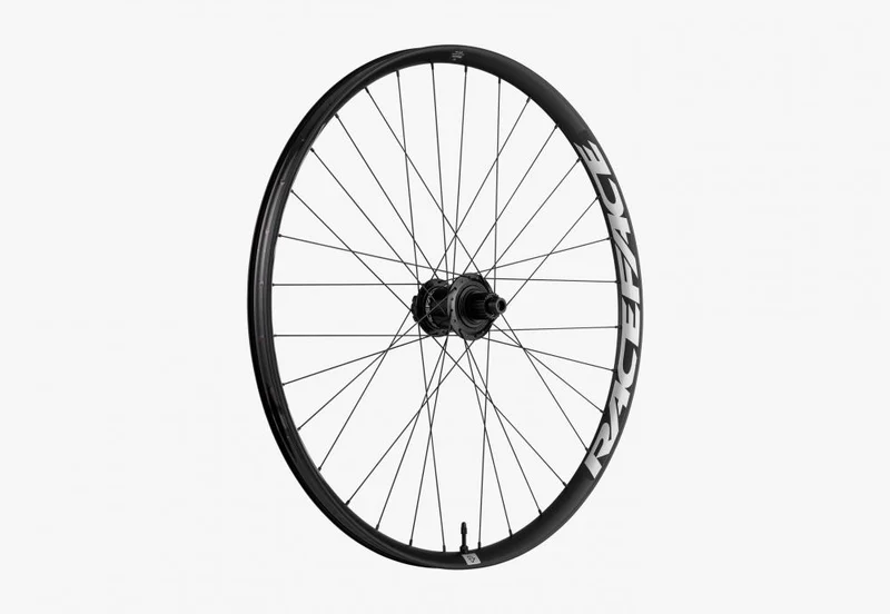 Race Face Turbine eMTB Laufrad HR 29" 148x12mm XD 6-Loch - robustes E-MTB Hinterrad