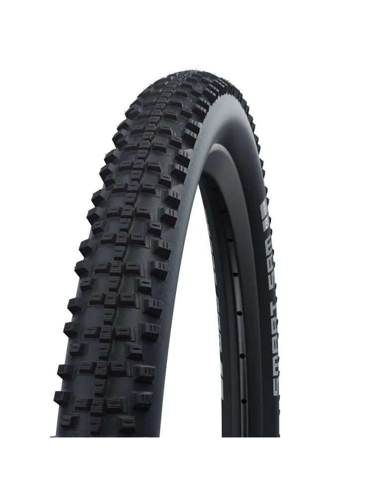 Schwalbe SMART SAM Perf