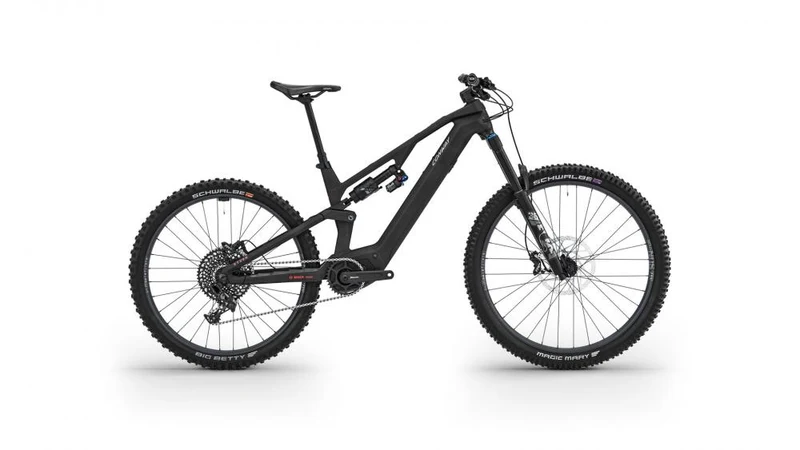Conway RYVON LT 4.0 E-Mountainbike 29" Carbon Full Suspension Silber Gr. M