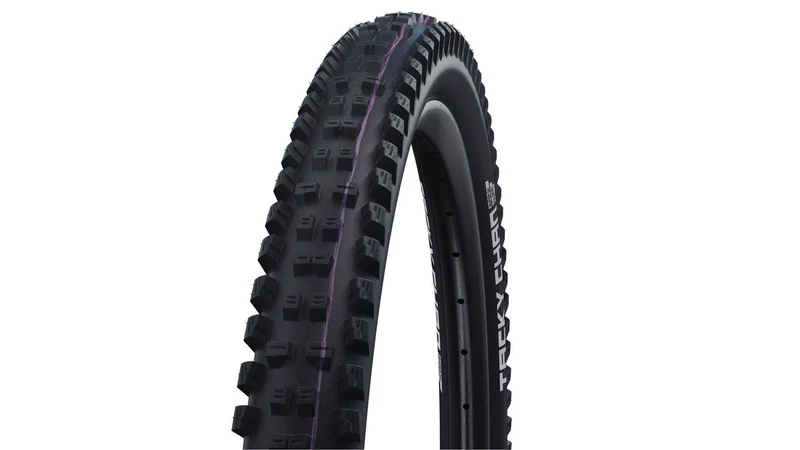 Schwalbe Tacky Chan 29 Super G.