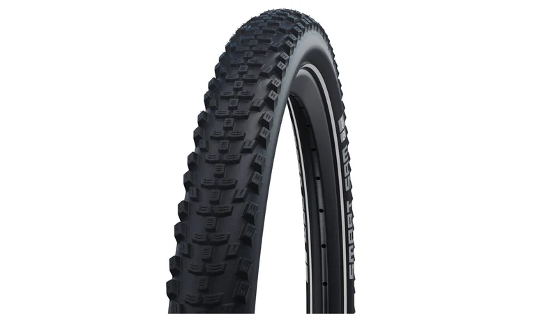Schwalbe Smart Sam DD
